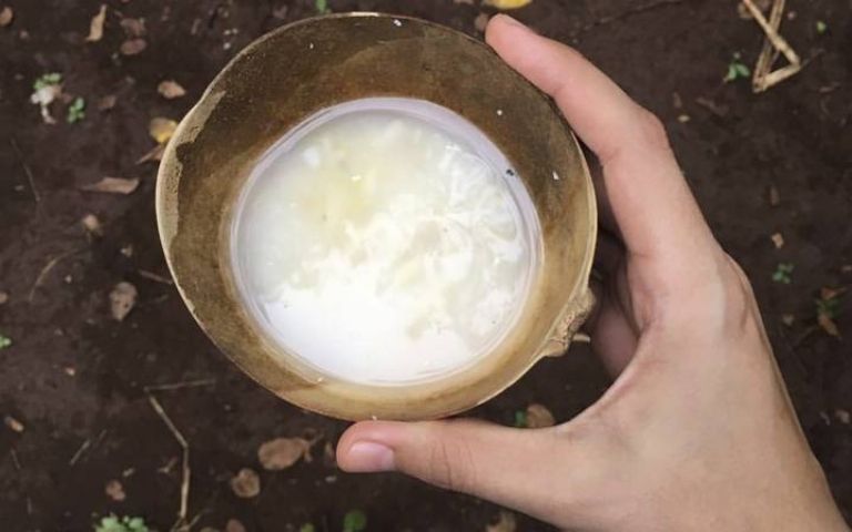 saká bebidas típicas de Quintana Roo