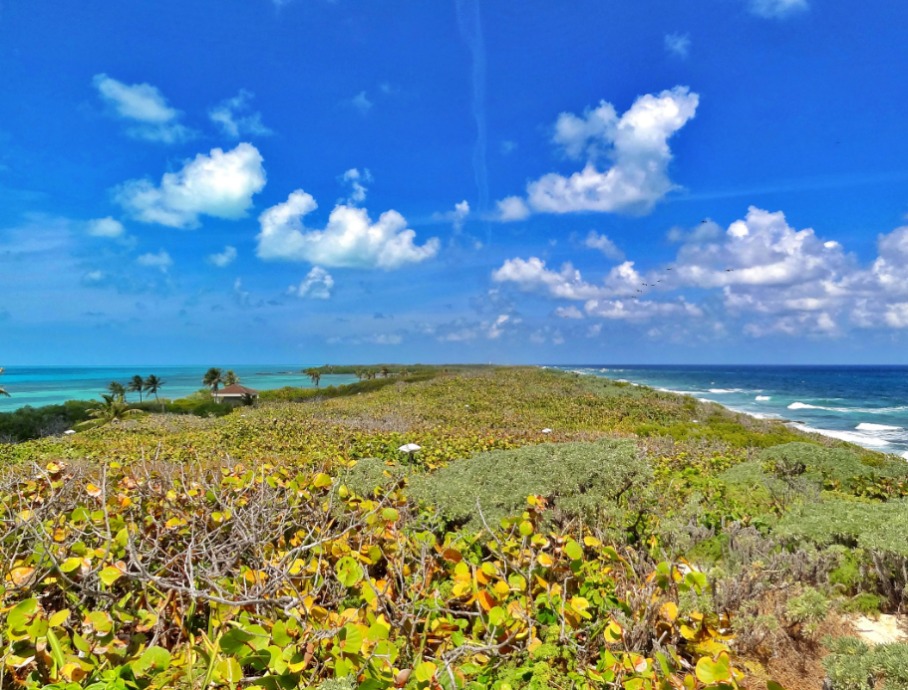 Isla Contoy qué hacer